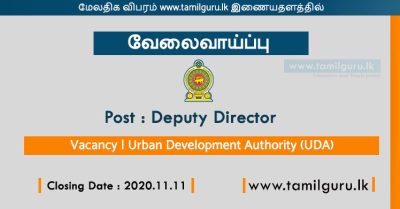 Deputy Director Vacancy