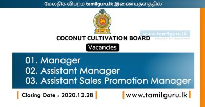 Vacancies at Coconut Cultivation Board