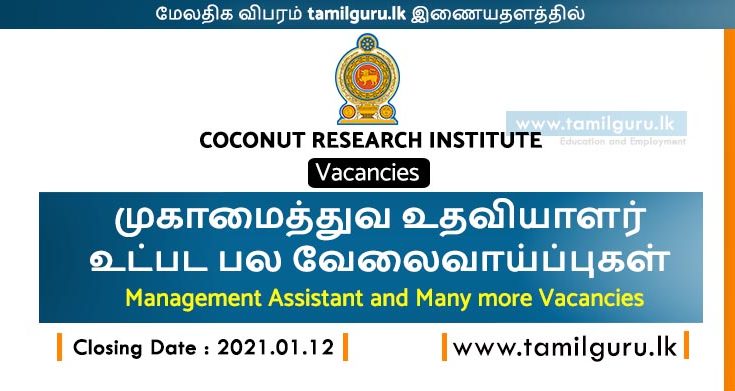 Coconut Research Institute Vacancies