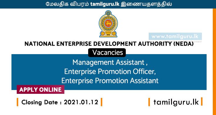 National Enterprise Development Authority (NEDA) Vacancies