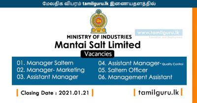 Vacancies at Mantai Salt Limited - Ministry of Industries 2021