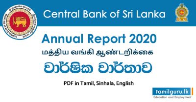 Central Bank Annual Report 2020 PDF