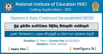 Diploma in Early Childhood Development (ECD) 2021 - National Institute of Education (NIE)