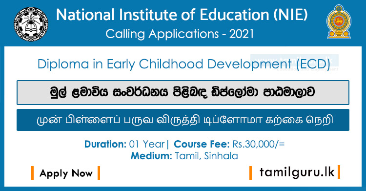 Diploma in Early Childhood Development (ECD) 2021 - National Institute of Education (NIE)