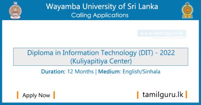 Diploma in Information Technology (DIT) 2022 - Wayamba University of Sri Lanka, (Kuliyapitiya Center)