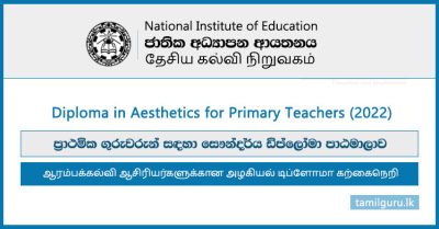 Diploma in Aesthetics for Primary Teachers (Course) (2022) - National Institute of Education (NIE)
