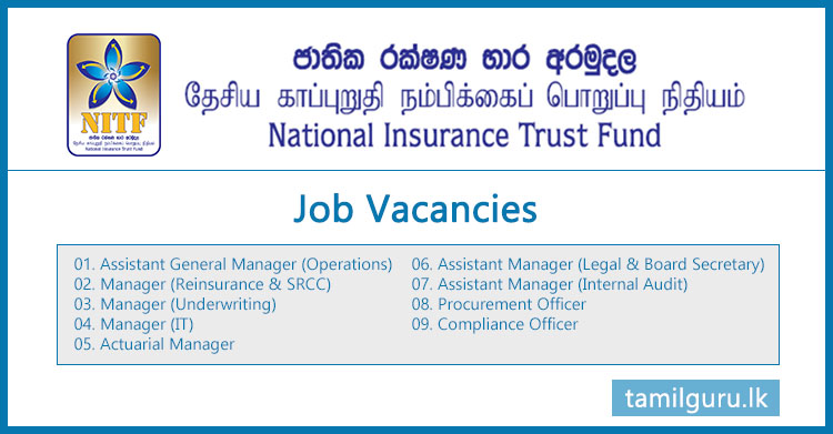 National Insurance Trust Fund (NITF) Job Vacancies - 2023 February