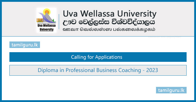 Diploma in Professional Business Coaching (Course) 2023 - Uva Wellassa University
