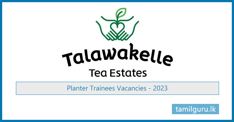 Planter Trainees Vacancies 2023 - Talawakelle Tea Estates PLC