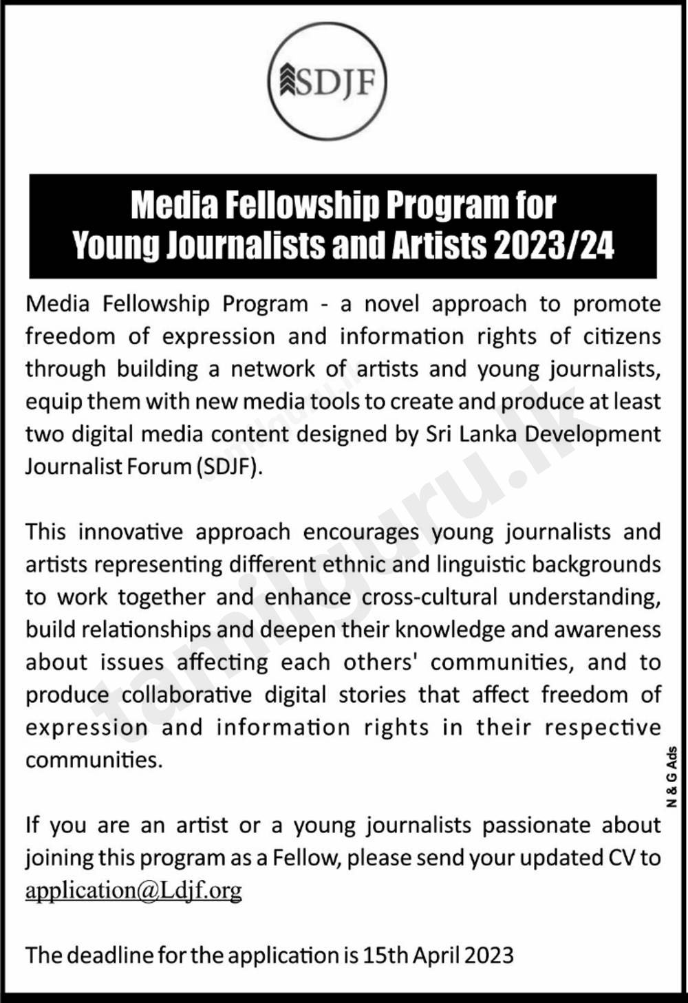 Media Fellowship Program for Young Journalists and Artists 2023/2024 - SDJF