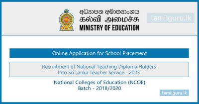 College of Education Diploma Holders School Placement Application 2023