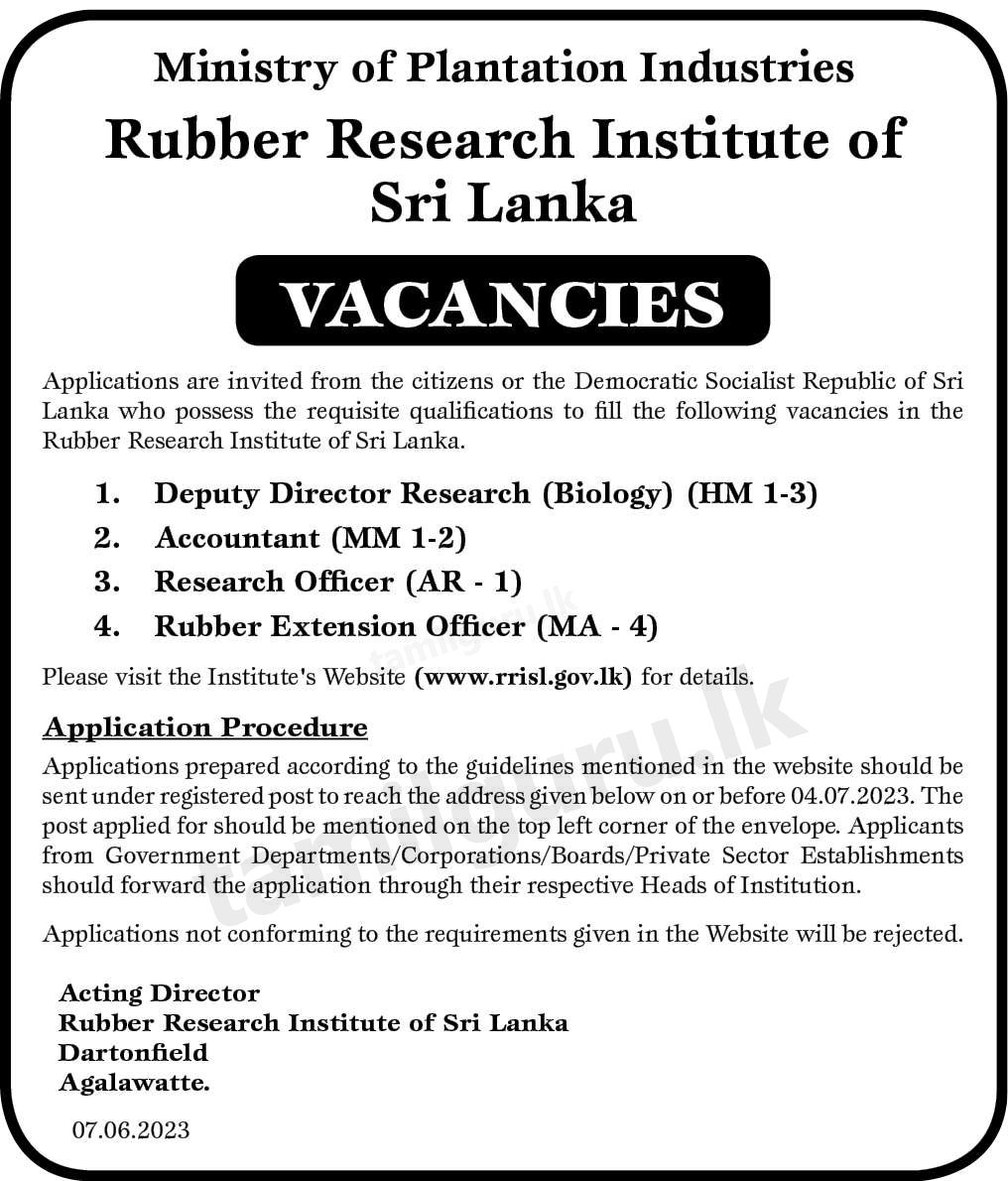 Rubber Research Institute (RRISL) - Job Vacancies | 2023 June