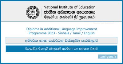 Diploma in Additional Language Improvement 2023 - National Institute of Education (NIE)