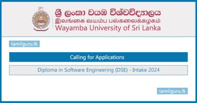 Diploma in Software Engineering 2024 - Wayamba University