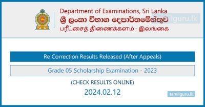 Grade 5 Scholarship Examination Re Correction Results Released 2023 (2024)