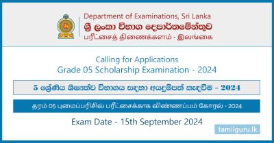 Grade 05 Scholarship Examination Application 2024