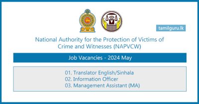 National Authority for the Protection of Victims of Crime and Witnesses Vacancies 2024 May