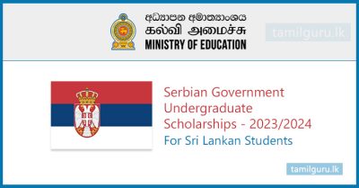 Serbian Government Undergraduate Scholarships 2024