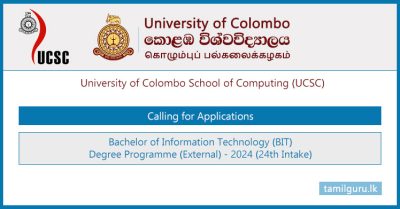 BIT External Degree Programme Intake 2024 - University of Colombo (UCSC)