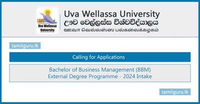 Bachelor of Business Management (BBM) External Degree Application 2024 - Uva Wellassa University
