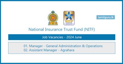National Insurance Trust Fund (NITF) Manager, Assistant Manager Vacancies - 2024 (July)