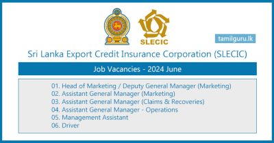 Sri Lanka Export Credit Insurance Corporation (SLECIC) Vacancies - 2024 June