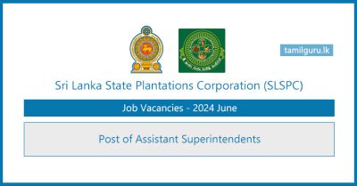 Sri Lanka State Plantations Corporation (SLSPC) Vacancies Assistant Superintendent 2024 June