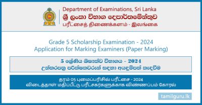 Grade 5 Scholarship Examination Paper Marking Application 2024