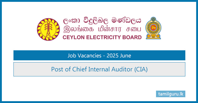 Ceylon Electricity Board (CEB) Chief Internal Auditor (CIA) Vacancies 2025