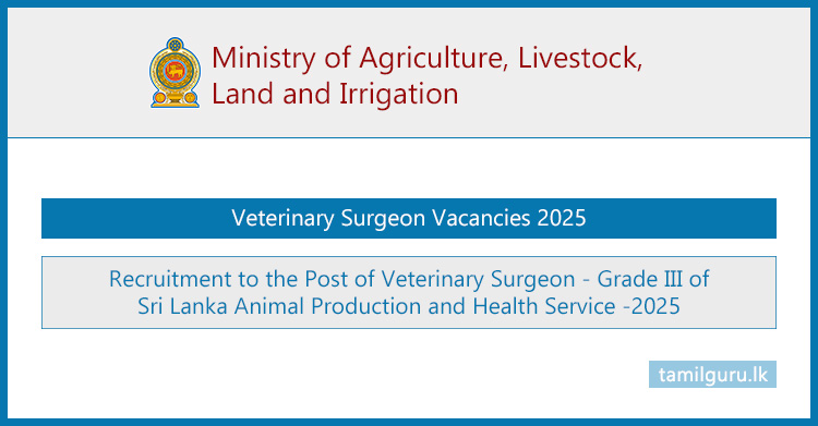 Veterinary Surgeon Vacancies 2025