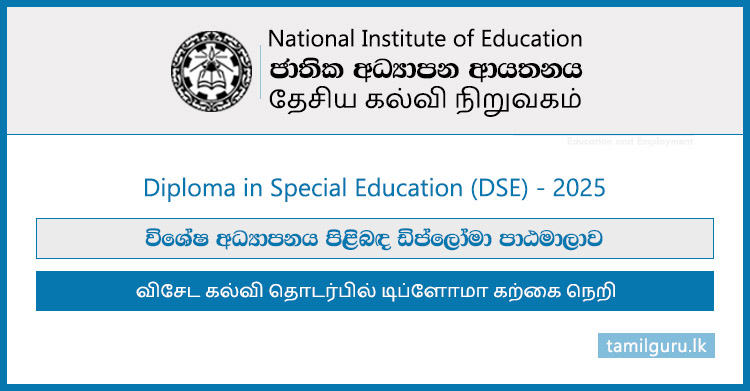 Diploma in Special Education (DSE) Course 2025 - National Institute of Education (NIE)