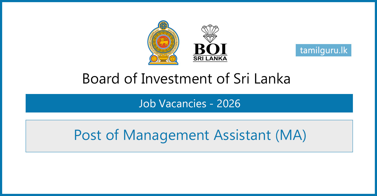 Board of Investment (BOI) Management Assistant Vacancies 2026